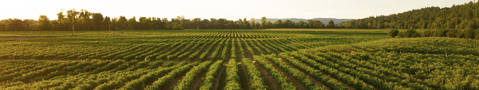 Ignite 2023 Photo Dan Meyers